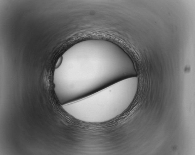X0000102771490200808180942