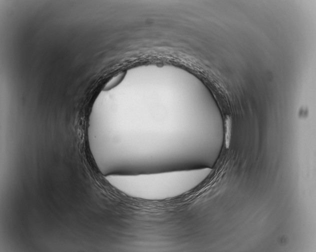 X0000102771491200808180942