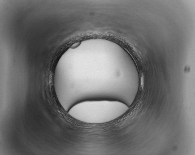 X0000102771492200808180942