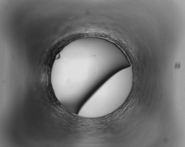 X0000102771493200808180943