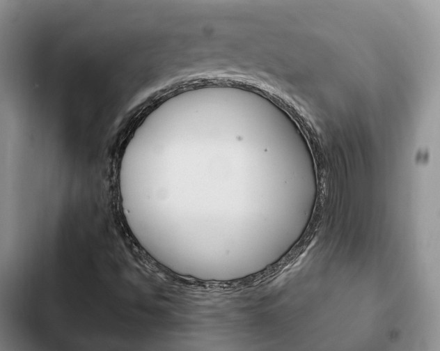 X0000102771494200808180943