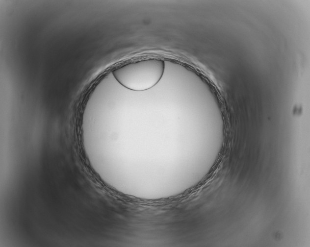 X0000102771496200808180943