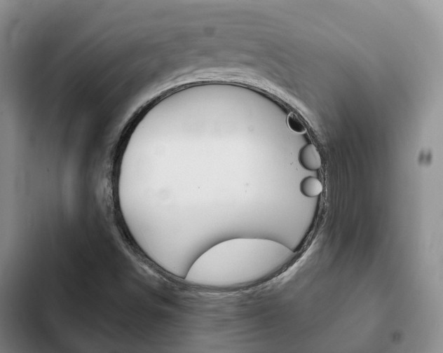X0000102771498200808180943