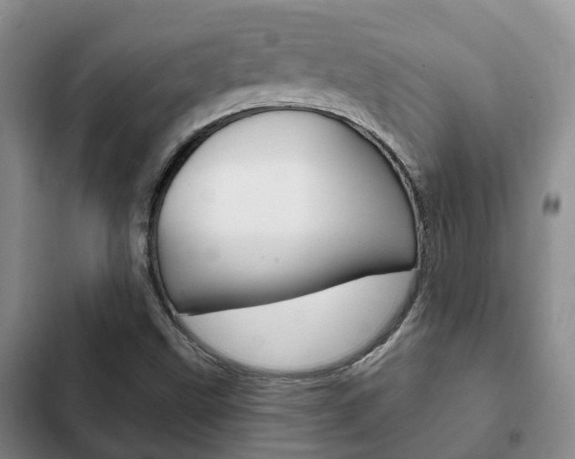 X0000102771499200808180943