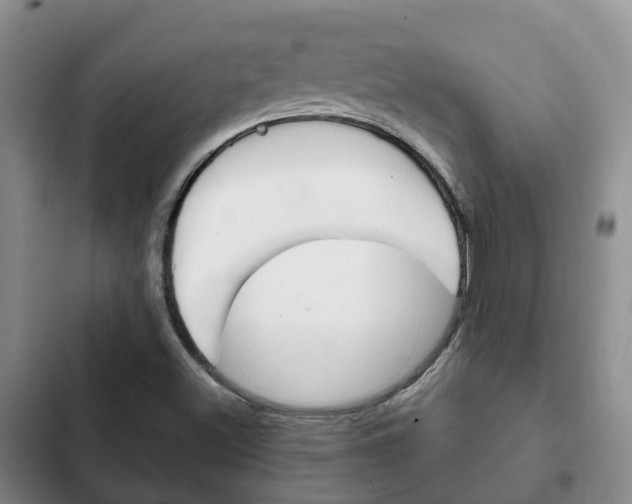 X0000102771500200808180943