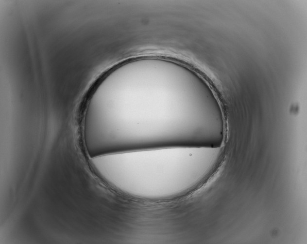 X0000102771501200808180943