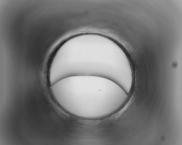X0000102771502200808180943