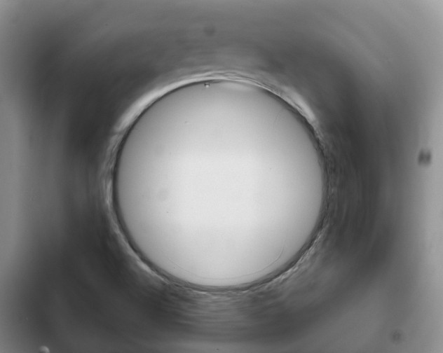 X0000102771504200808180943
