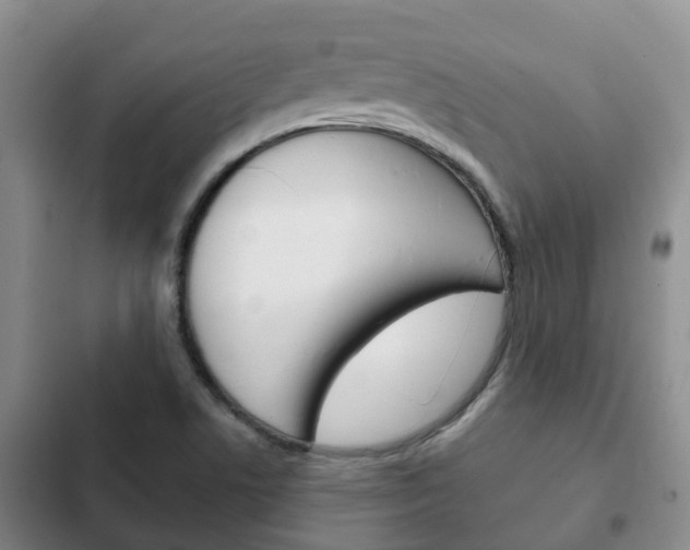 X0000102771506200808180943