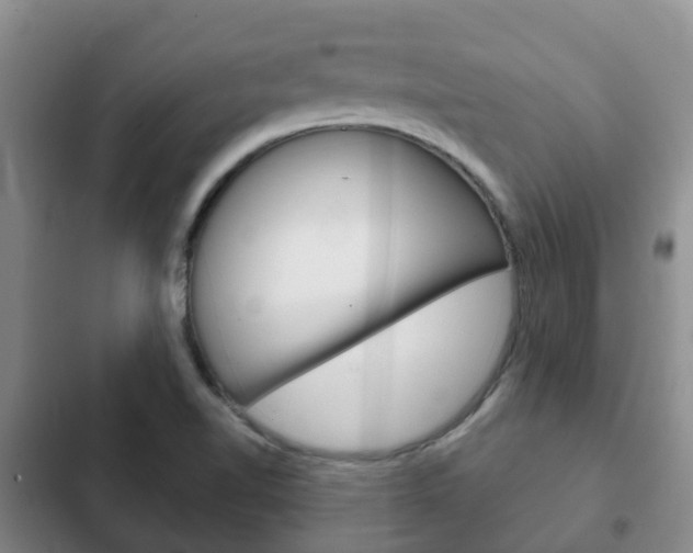X0000102771510200808180943