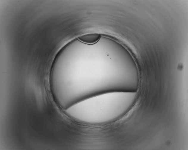 X0000102771513200808180943