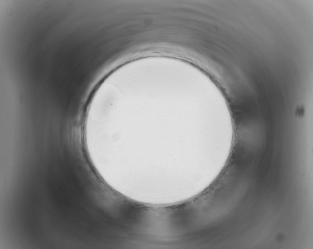 X0000102771514200808180943
