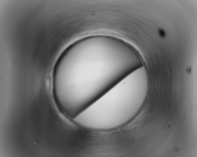 X0000102771515200808180943