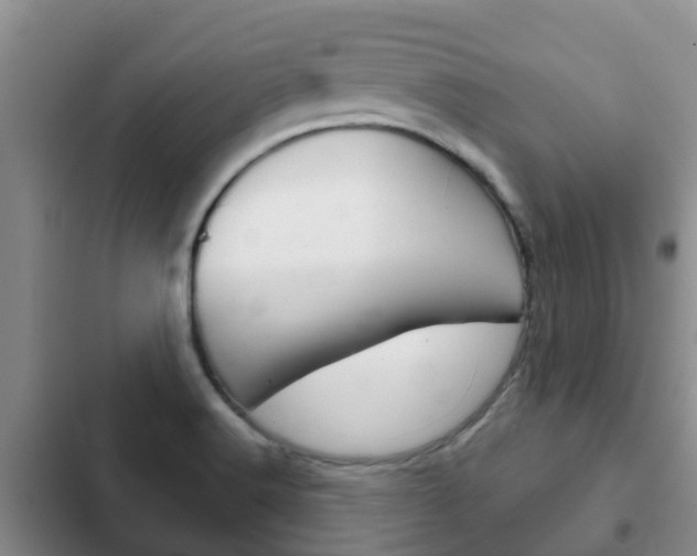 X0000102771516200808180943