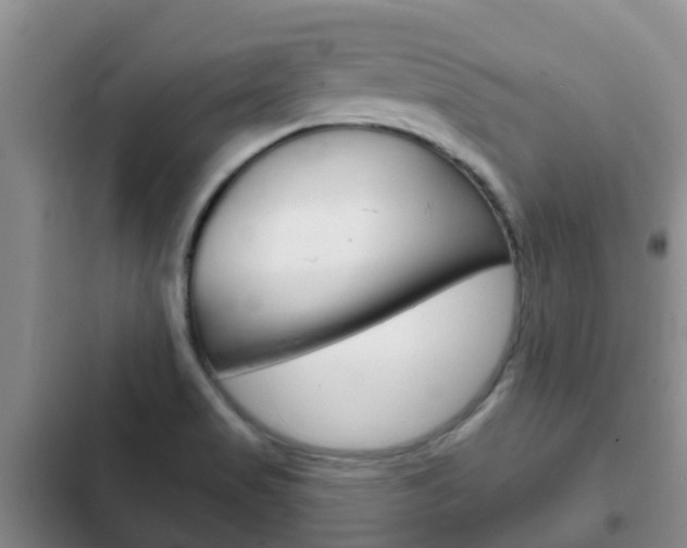 X0000102771517200808180943