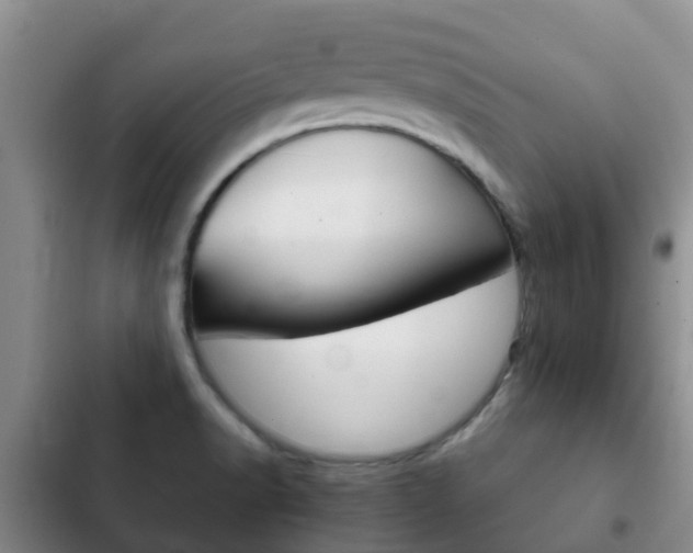 X0000102771518200808180943