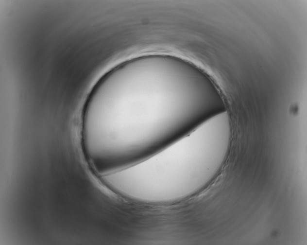 X0000102771519200808180943