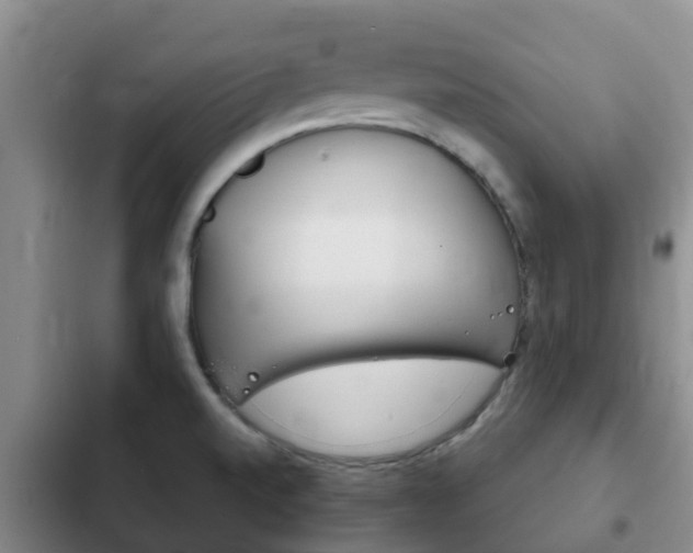 X0000102771520200808180943