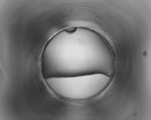X0000102771521200808180943