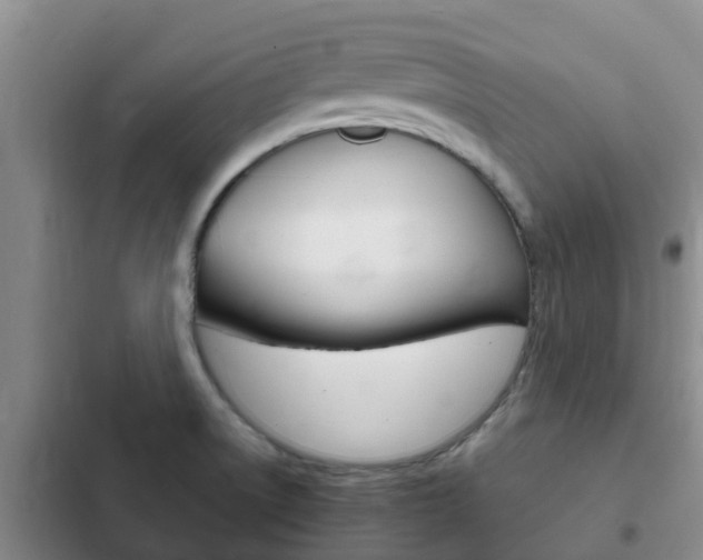 X0000102771522200808180943
