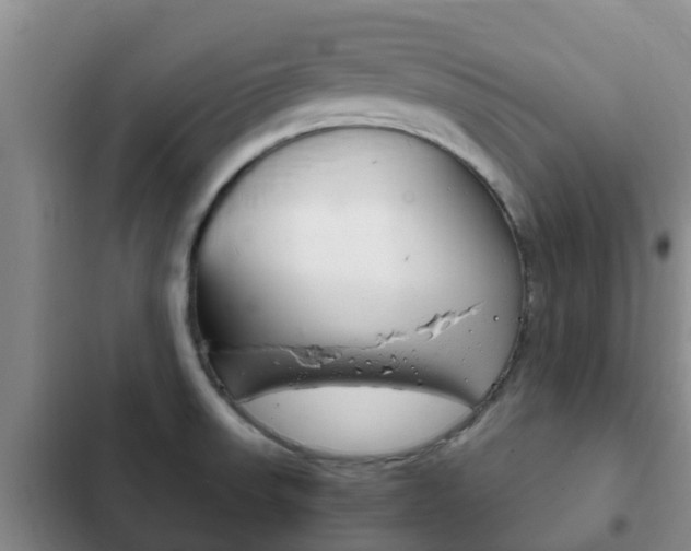 X0000102771523200808180943