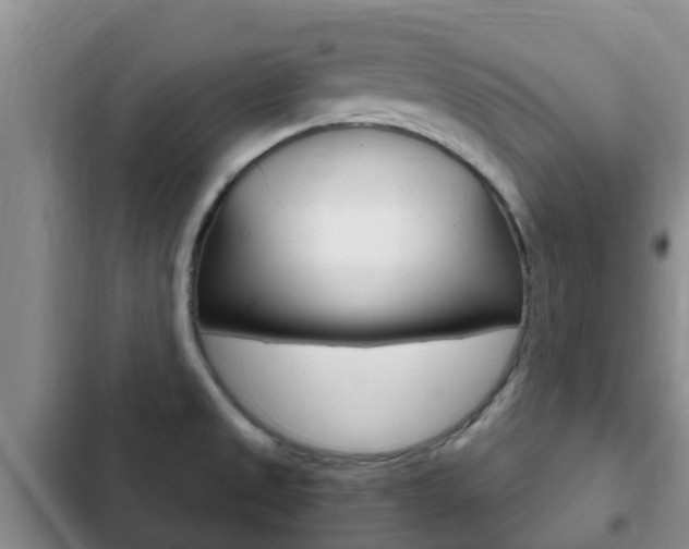 X0000102771525200808180943