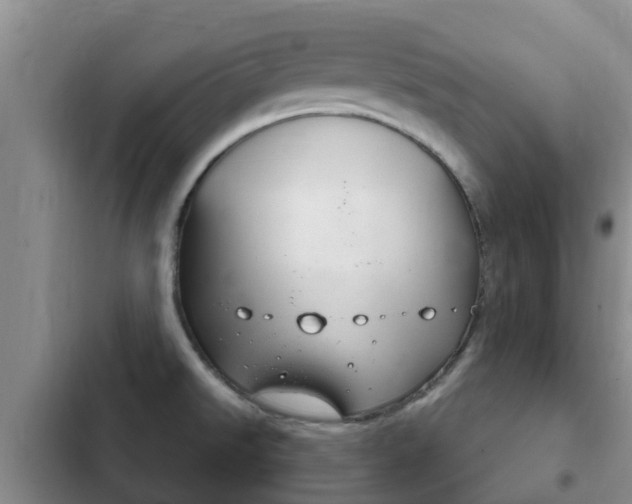 X0000102771526200808180943