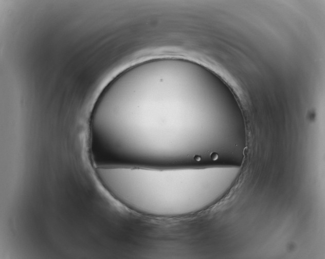 X0000102771527200808180943