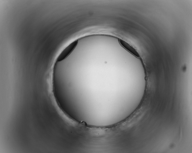X0000102771528200808180943