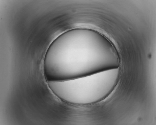 X0000102771529200808180943