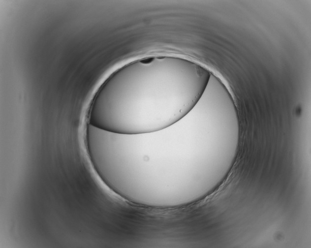 X0000102771531200808180943