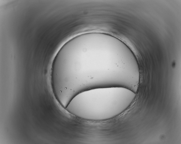 X0000102771532200808180943