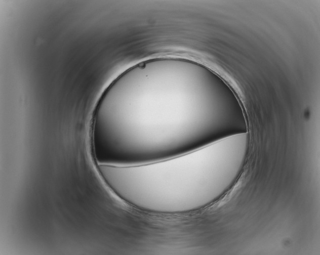X0000102771533200808180943