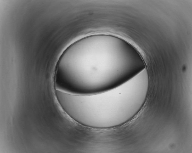 X0000102771534200808180943