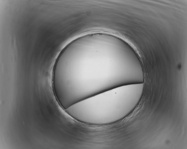 X0000102771535200808180943