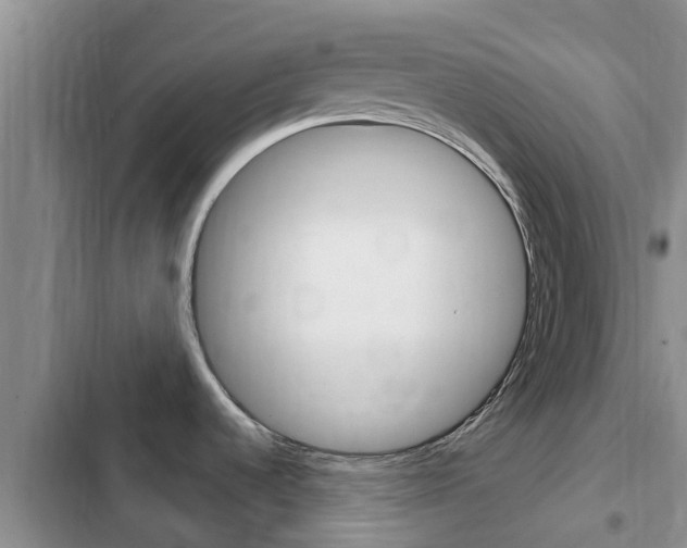 X0000102771536200808180943
