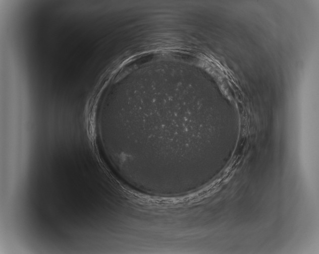 X0000102770002200808181139