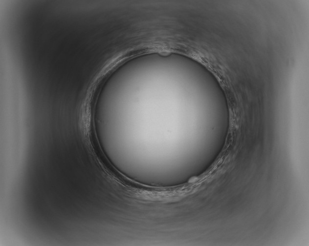 X0000102770005200808181139