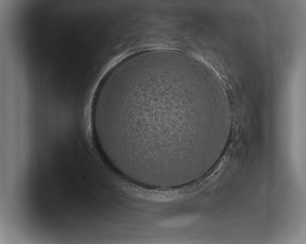 X0000102770008200808181139