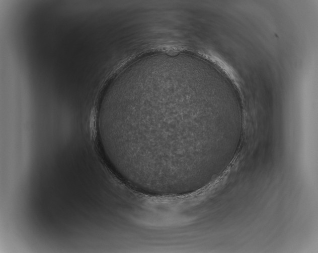 X0000102770009200808181139