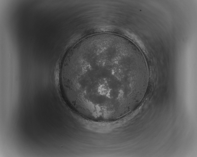 X0000102770010200808181138