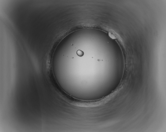 X0000102770017200808181138