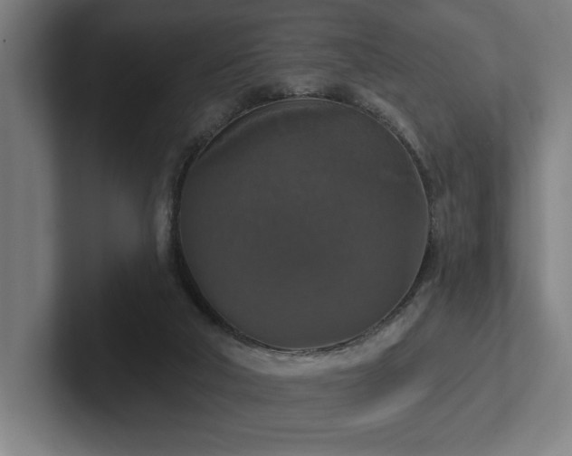 X0000102770018200808181138