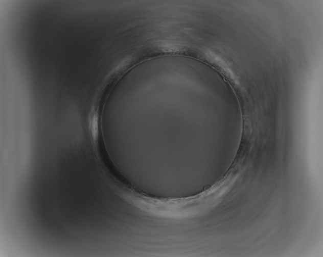 X0000102770019200808181138