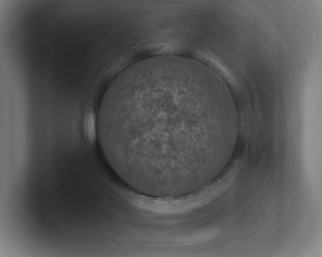 X0000102770022200808181138