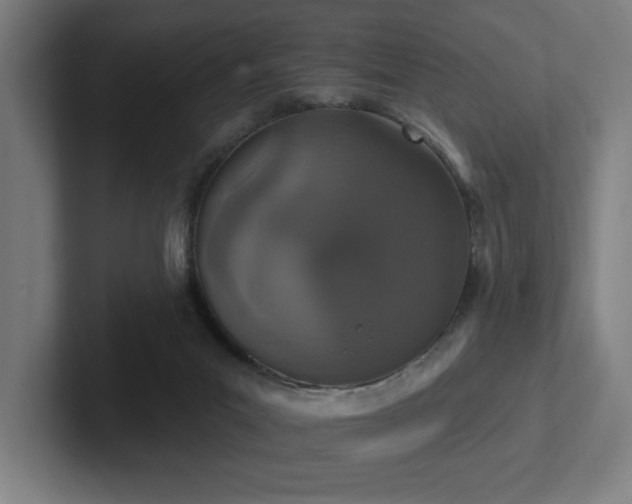 X0000102770023200808181138