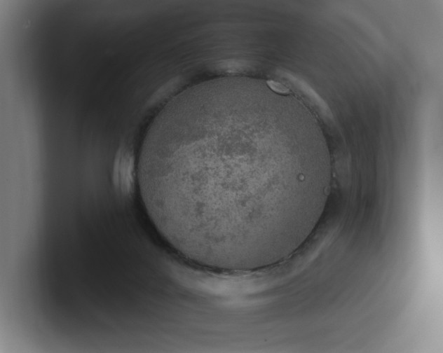 X0000102770024200808181138