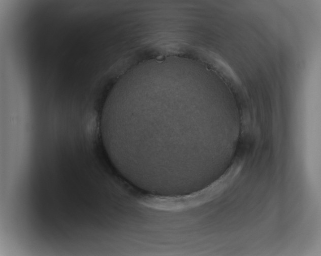 X0000102770029200808181138