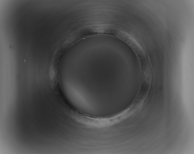 X0000102770031200808181138