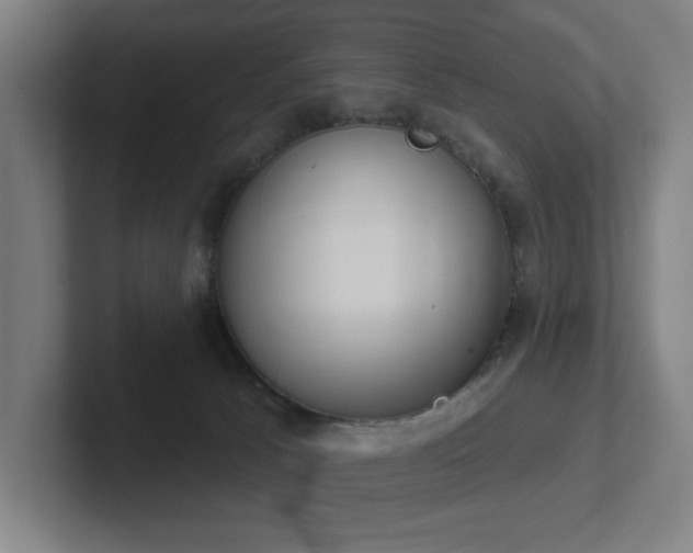 X0000102770033200808181138